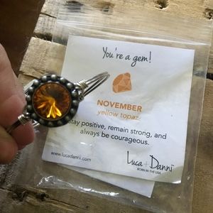 Luca and Danni Silver November Bracelet